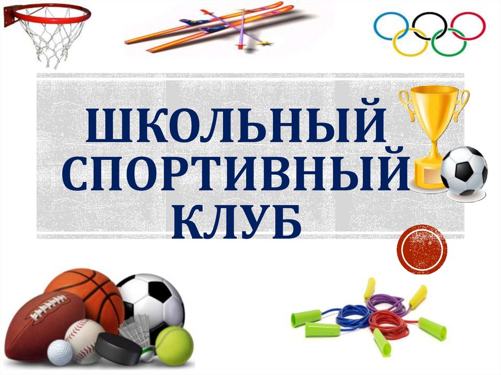 Школьный спортивный клуб "Альфа".