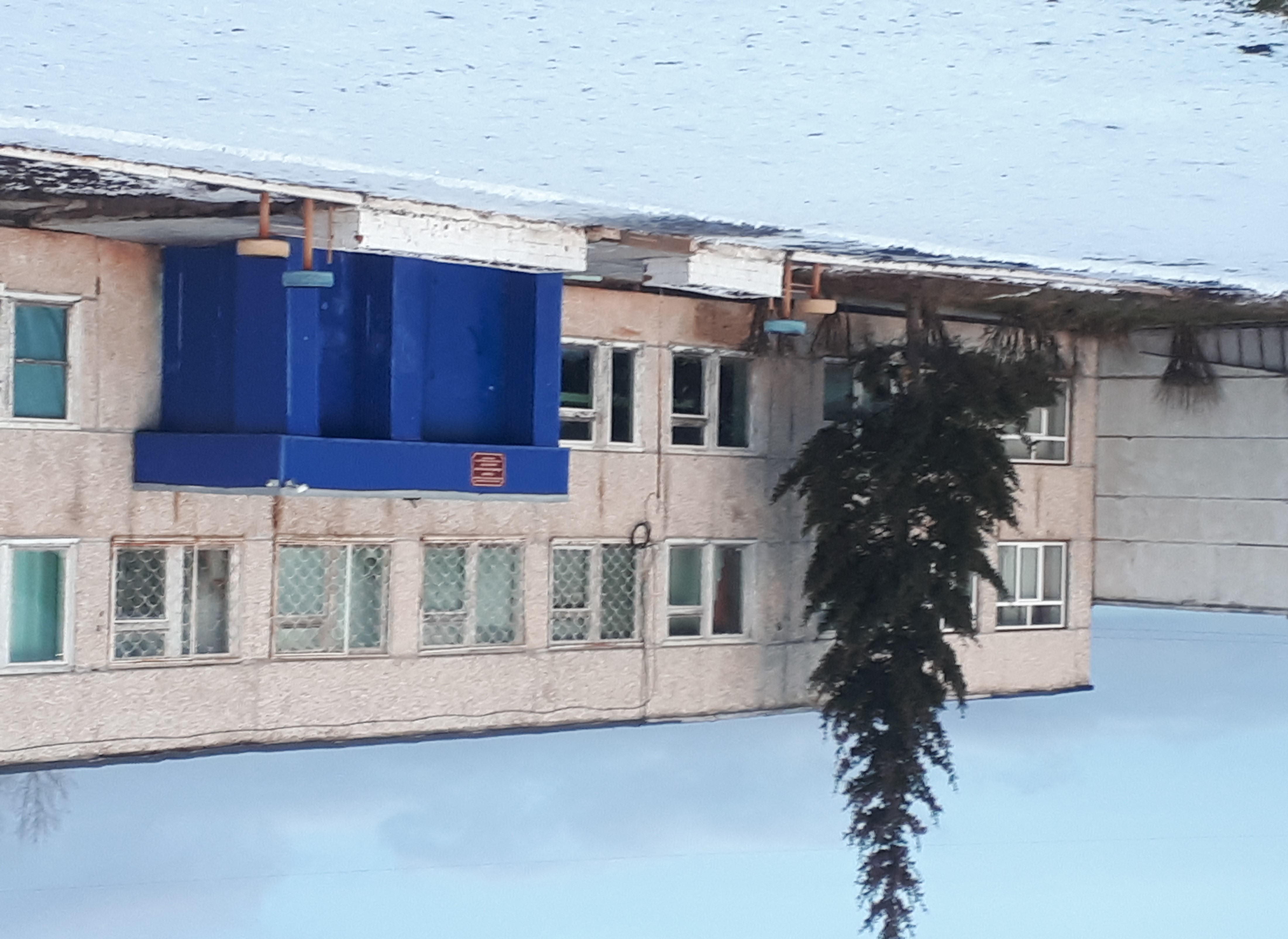«Единство многообразия».