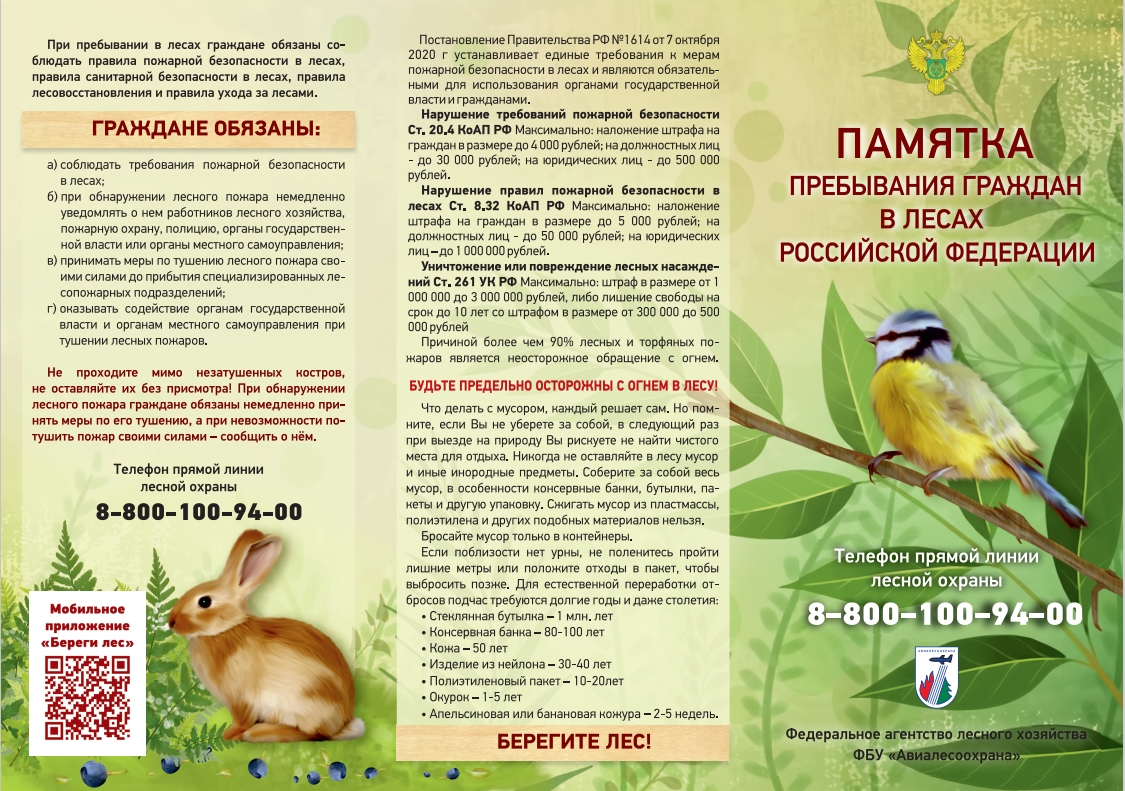 «Профилактика возникновения лесных пожаров»..